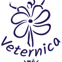 Tanečná škola Veternica