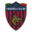 surcorsale del Cosenza calcio