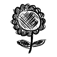 Sunflower Performance Training