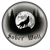 Sober Wolf Recovery Fitness - Boxing Training