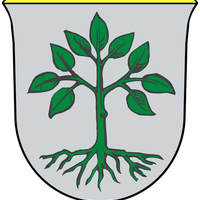 EV Großarl