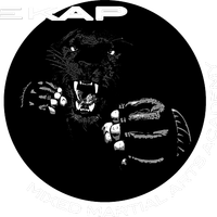 Academia de Artes Marciales Mixtas EKAP