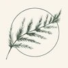 Pinewood Pilates & Movement