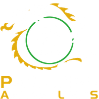 PALS Dragonboat Team 2