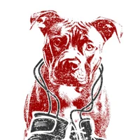 Dog Pound Boxing & Fitness | Red Deer's Premier Boxing Gym