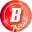 B-Active Football Club (Lion Pride Academy)