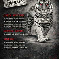 A.S.D STRAY CLAN