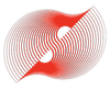 Symmetry Biomechanics