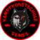 Kampfkunstschule Remes