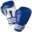 Boxing Club Lille Fives