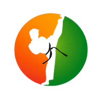 KARATE ACADEMY INDIA