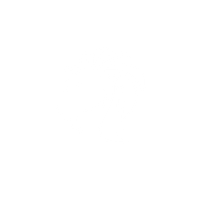 Athletic Beast Training