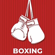 Boxing Synergy