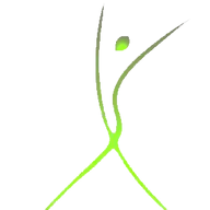 SeemBody Fitness & Akademie