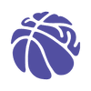 Dynamic Basketball