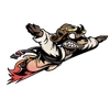 Flying Squirrel Jiu-Jitsu