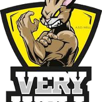 Very Well Club Chivasso — Palestra con Fitness Coach