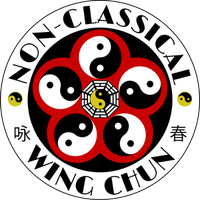 Master Seyfi Wing Chun