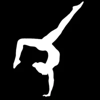 Aspire Gymnastics Academy