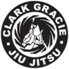 Gracie Allegiance Brazilian Jiu Jitsu Academy