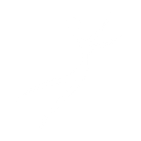 Villarica Dance School