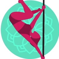 Pole Vicio Pole Dance & Fitness Studio