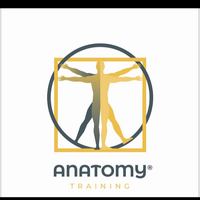 Anatomy Training Studio