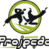 Academia Projeção de Artes Marciais