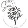 Hot & Soul Yoga