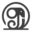 Gaj Yoga Studio - Best Yoga Classes in Ajmer || Yoga center || Yoga Studio || Yoga Sessions