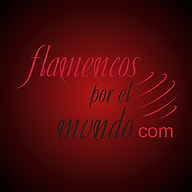 Flamenco School Flamenco por El Mundo