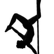 PoleFly Aerial Fitness LLC