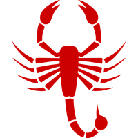 Scorpion Dance Team