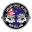Carlson Gracie New Zealand