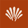 Playa Pilates Hochelaga | Reformer Pilates | Mat Pilates