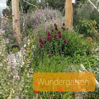yoga-naturgarten