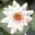 Yoga & Ayurveda-Tulln Hilde Geiger