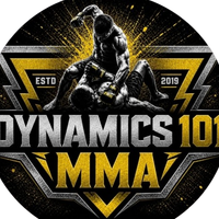 Dynamics 101 MMA virugambakkam