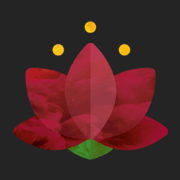 katharina.fit: Vinyasa Yoga, Yoga für Schwangere, Budokon Yoga & Meditation