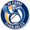 Na Fianna (Clonard) GAA Club