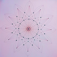 Red Flower Yoga
