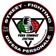 Free Combat Palestra