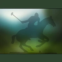 Sunshine Coast Polo Club