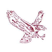 Thornlie Hawks Softball Club