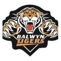 Balwyn Football Club
