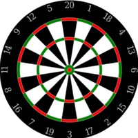 Castlemaine Amateur Darts Association