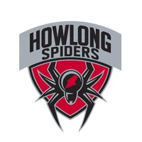 Howlong Netball Club