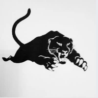 Gundagai Panthers Football Club
