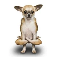 Kwinana Yoga
