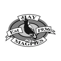 Hay Magpies